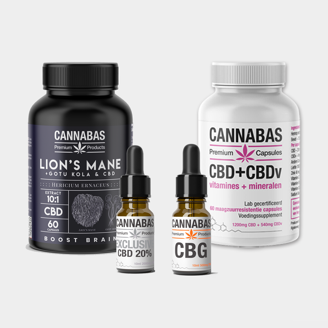 Aktionsbündel Focus Now