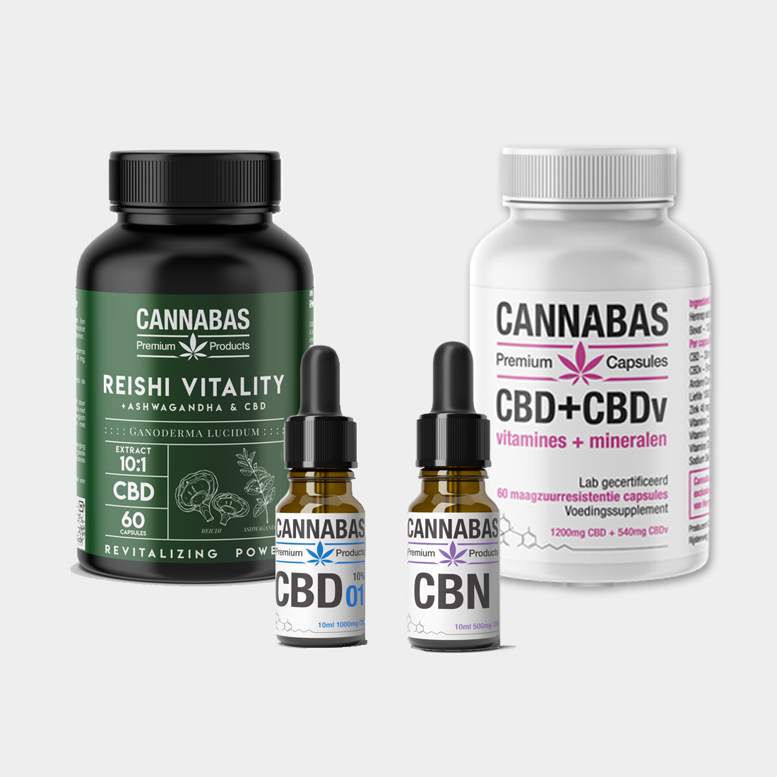 Aktionsbündel Happy Night