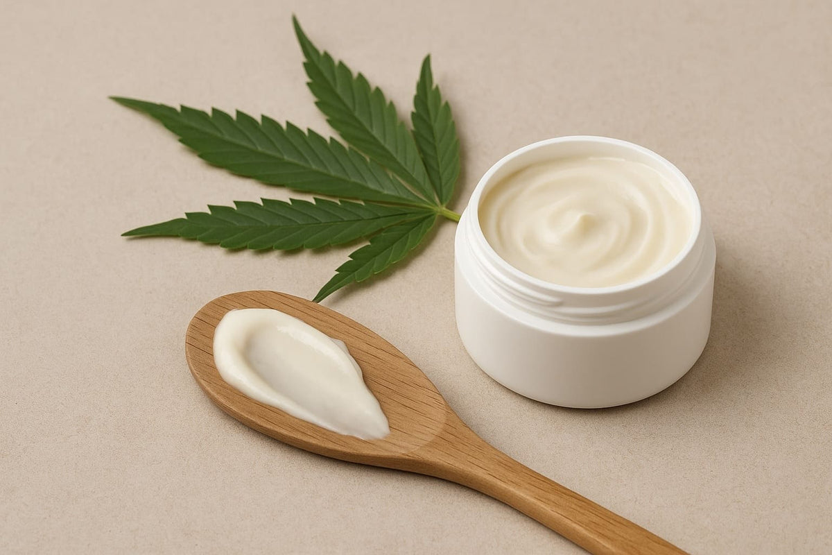 CBD Creme Testsieger
