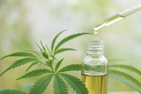 Pipette zur CBD Öl Dosierung