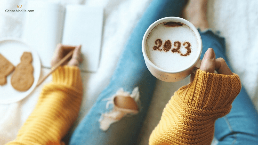 Nieuw Jaar, nieuwe jij: Hoe CBD olie je helpt je beste zelf te zijn