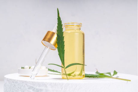 cbd öl gegen schmerzen